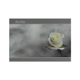 Sterkte kaart met een witte roos