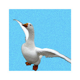 Gans in de lucht Gans in de lucht