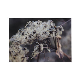 Stemmige kaart zonder tekst