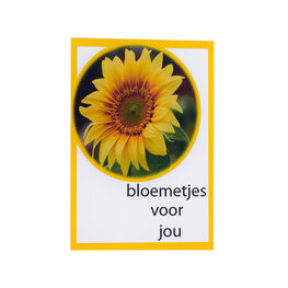 Bloemetjes voor jou Bloemetjes voor jou