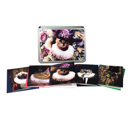 Kattenblik Kattenblik