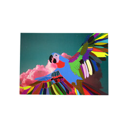 Gekke papegaai Gekke papegaai