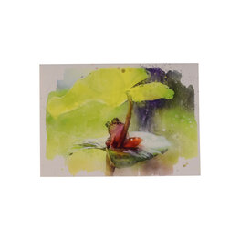 "Zen" kikker "Zen" kikker