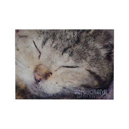 Hiep piep meow hoera! Hiep piep meow hoera!