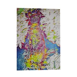 Poes in kleurenfestijn