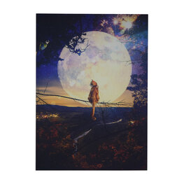 In de maneschijn In de maneschijn